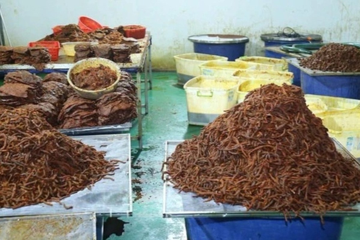 동나이 소고기 육포 샀다면, 물소고기 130톤 둔갑 확인해요